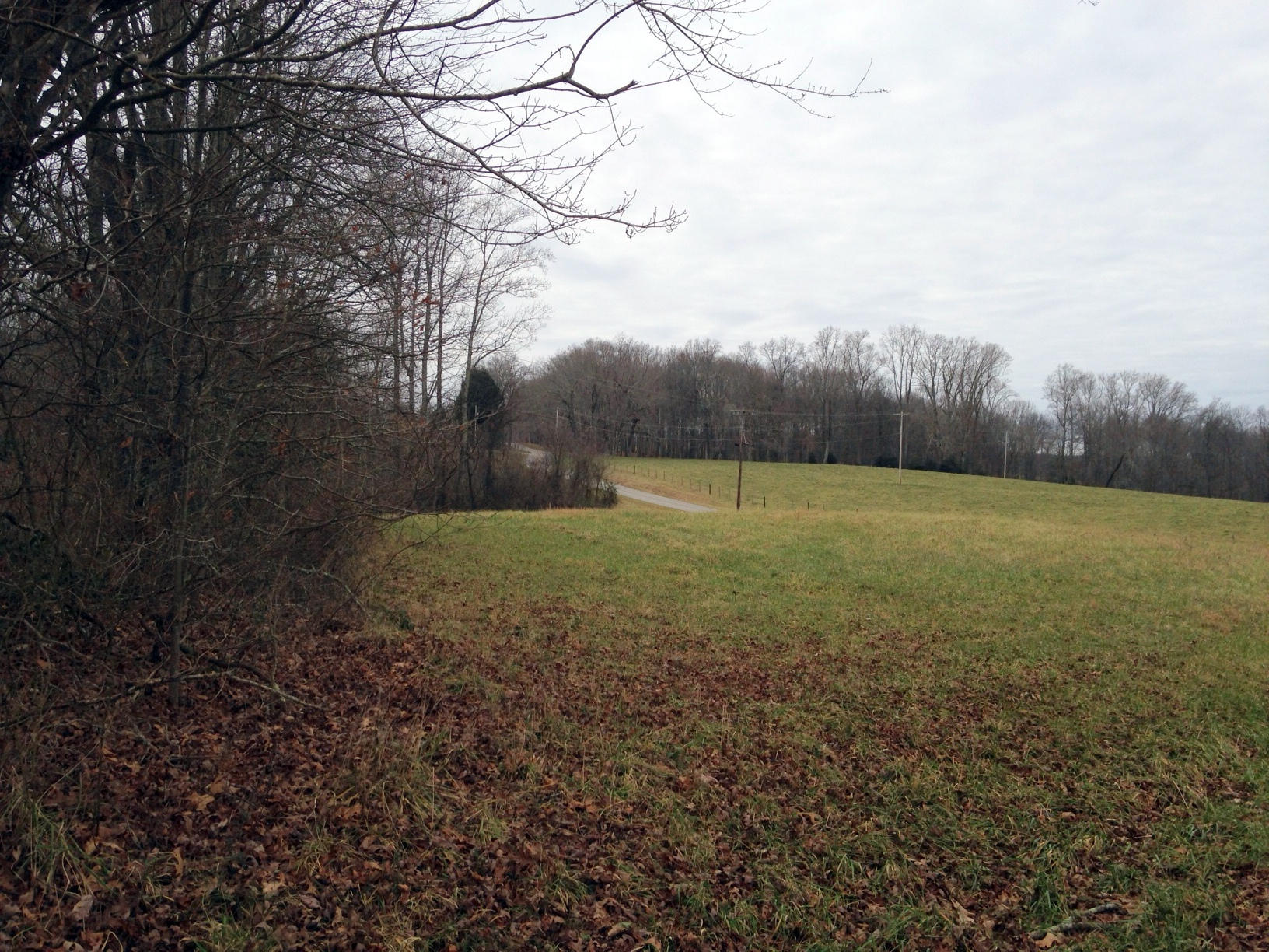 5002 Mayland Road Crossville, TN 38571 - Photo 1 of 9 IMG_0535-001