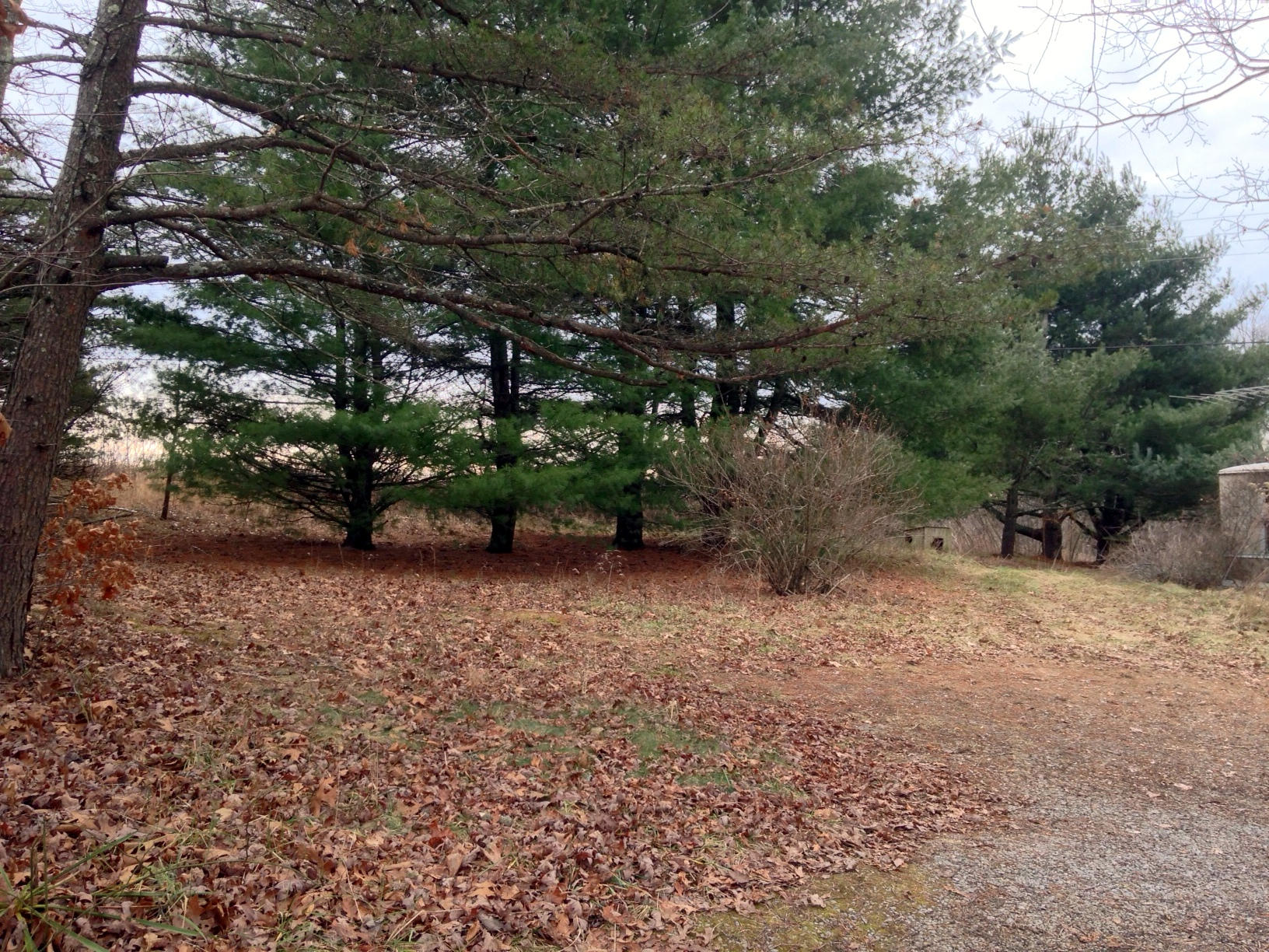 5002 Mayland Road Crossville, TN 38571 - Photo 2 of 9 IMG_0538-001