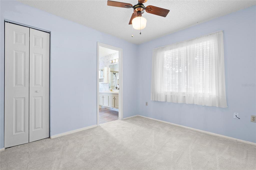 254 Timberview Drive Safety Harbor, FL 34695 - Photo 21 of 46