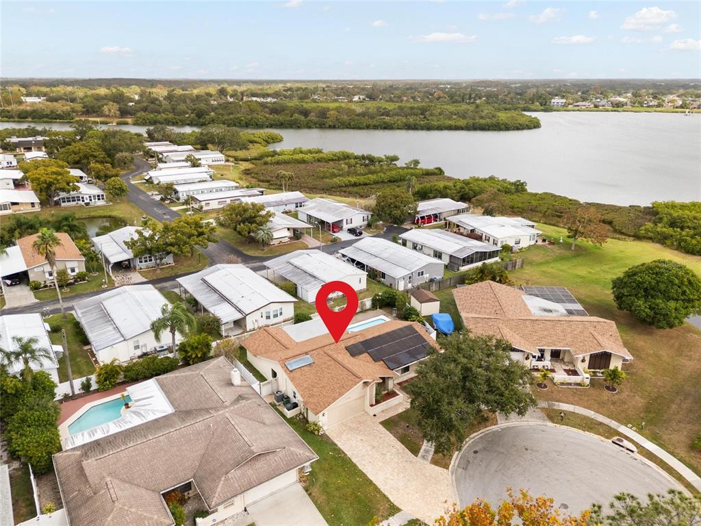 254 Timberview Drive Safety Harbor, FL 34695 - Photo 34 of 46