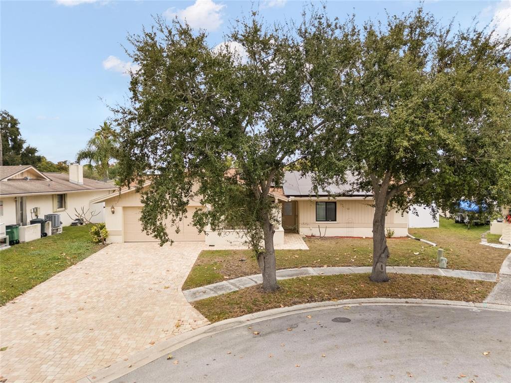 254 Timberview Drive Safety Harbor, FL 34695 - Photo 35 of 46