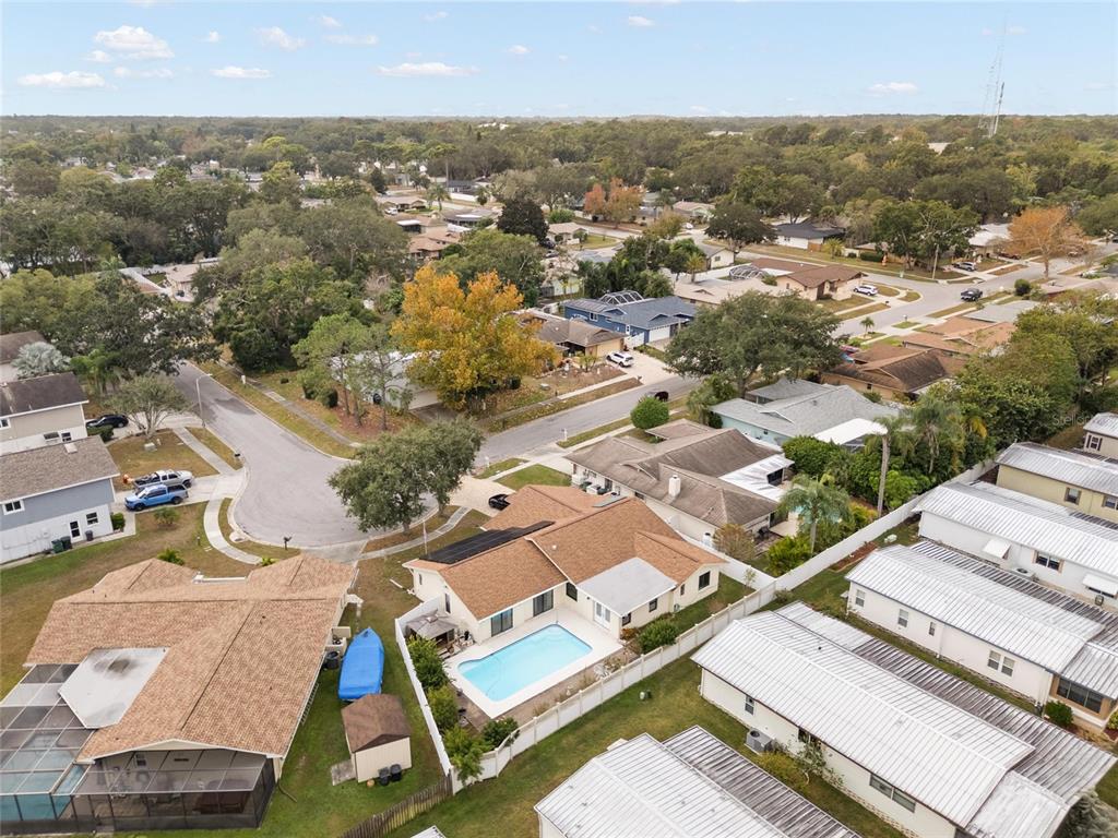 254 Timberview Drive Safety Harbor, FL 34695 - Photo 38 of 46