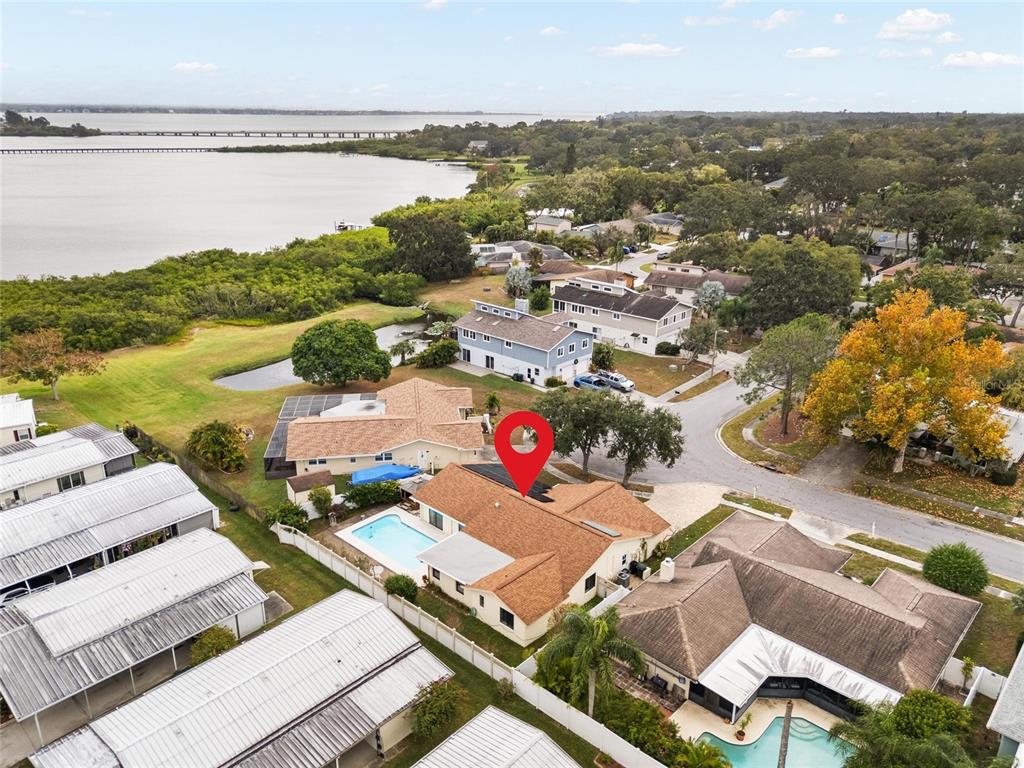 254 Timberview Drive Safety Harbor, FL 34695 - Photo 39 of 46