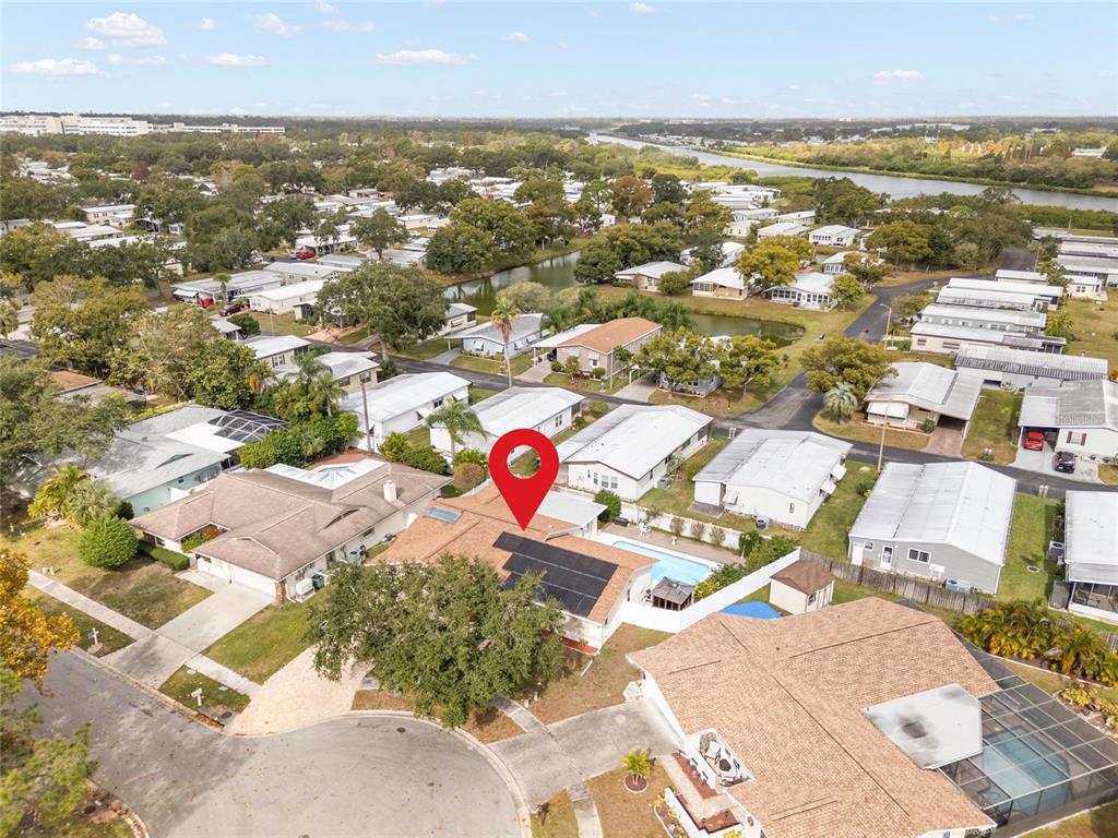 254 Timberview Drive Safety Harbor, FL 34695 - Photo 43 of 46