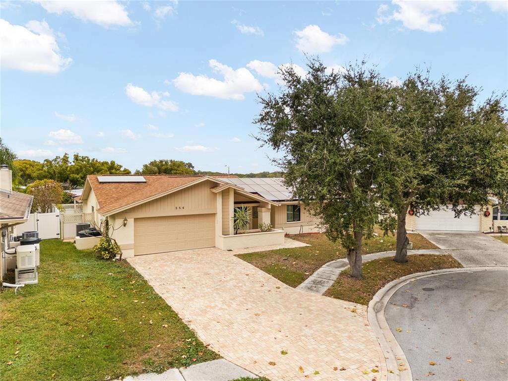 254 Timberview Drive Safety Harbor, FL 34695 - Photo 6 of 46