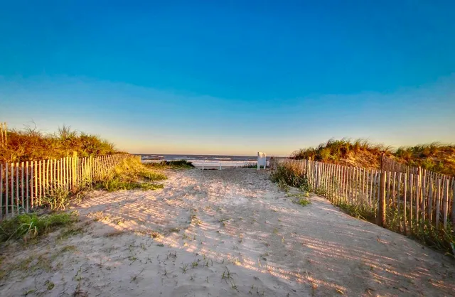 a view of a terrace with a garden