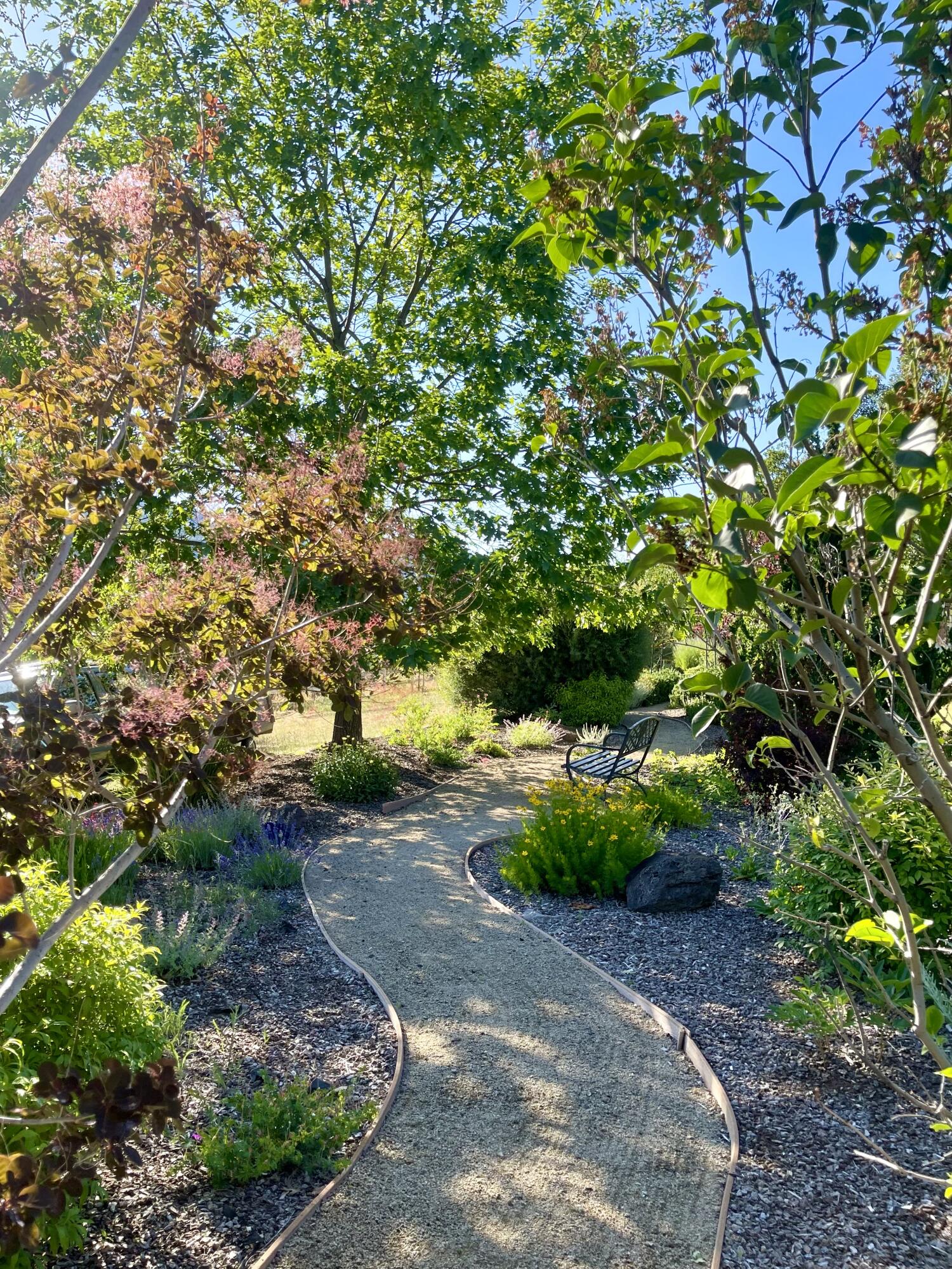 1275 Neil Creek Road Ashland, OR 97520 - Photo 36 of 52 Yard