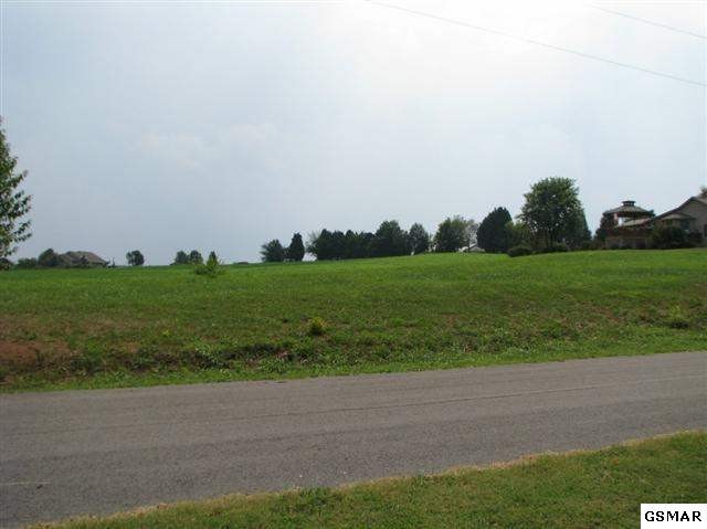 38 San Heim Road Rutledge, TN 37861 - Photo 1 of 1