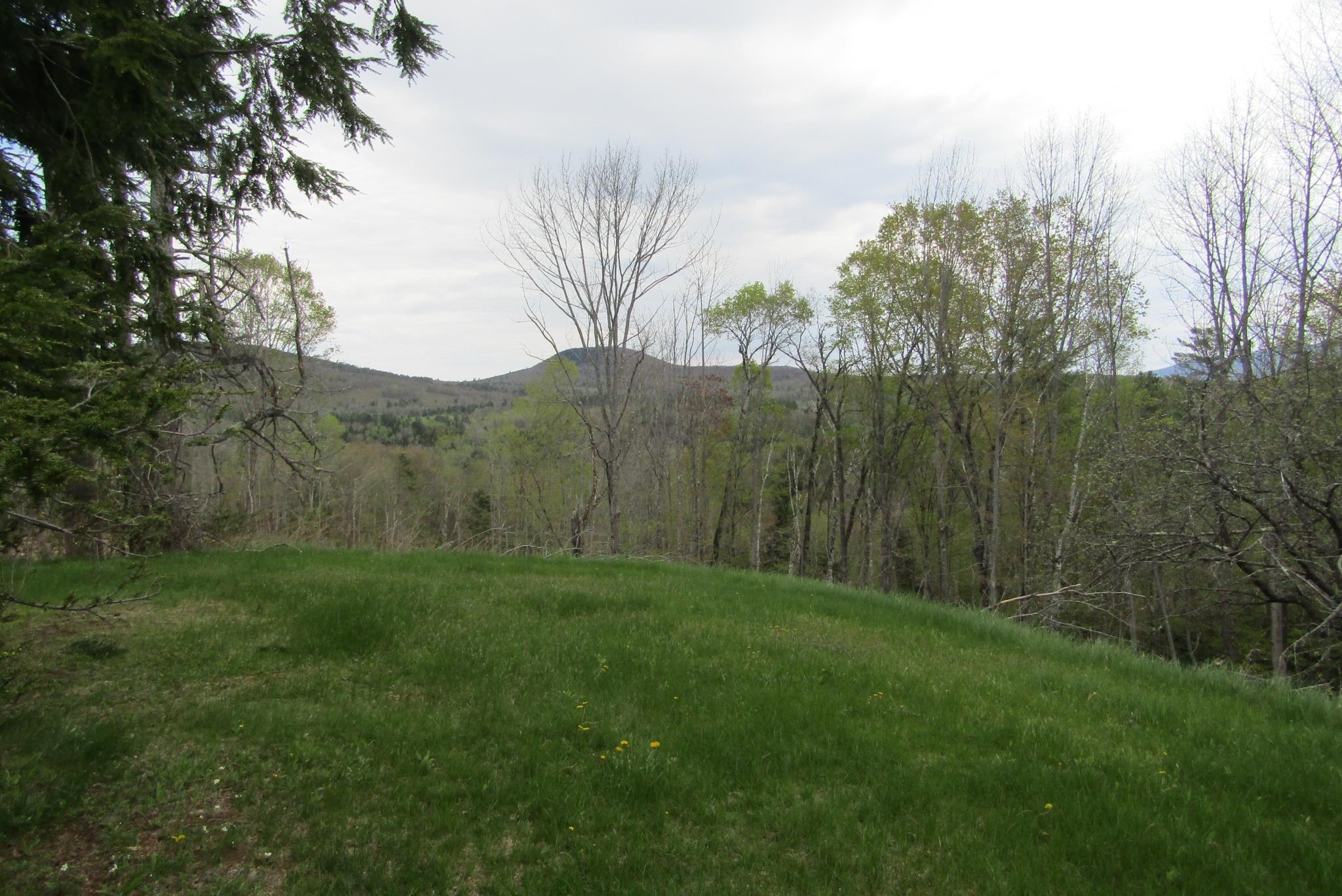 351 Coventry Road Benton, NH 03785 - Photo 12 of 41