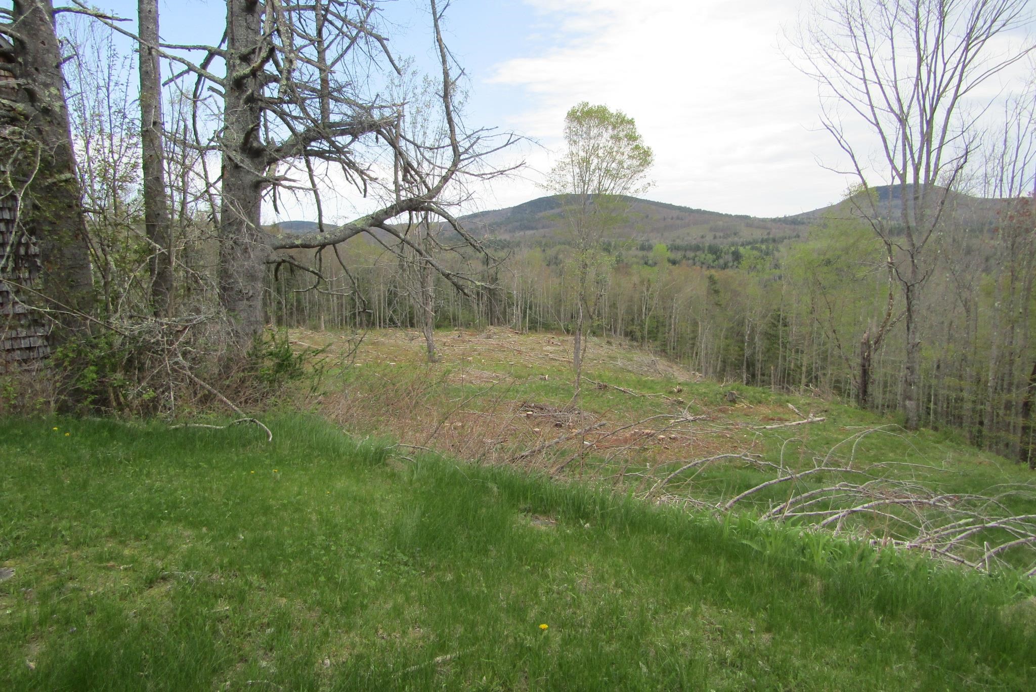 351 Coventry Road Benton, NH 03785 - Photo 14 of 41