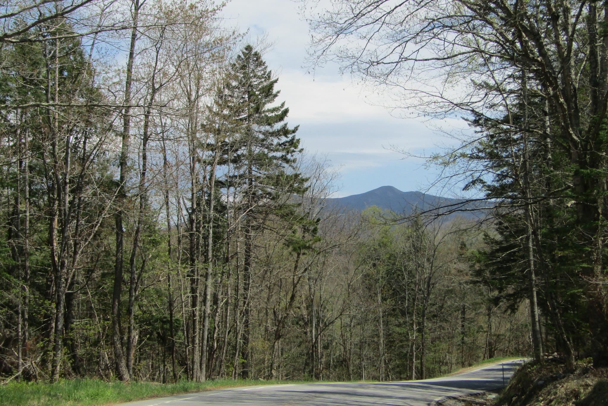 351 Coventry Road Benton, NH 03785 - Photo 15 of 41