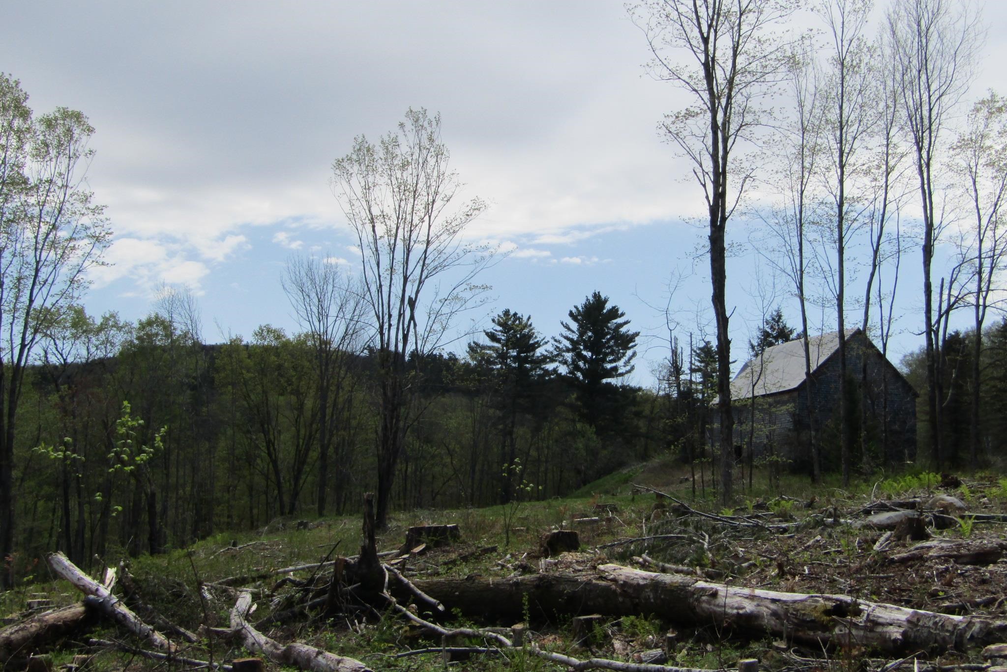 351 Coventry Road Benton, NH 03785 - Photo 16 of 41