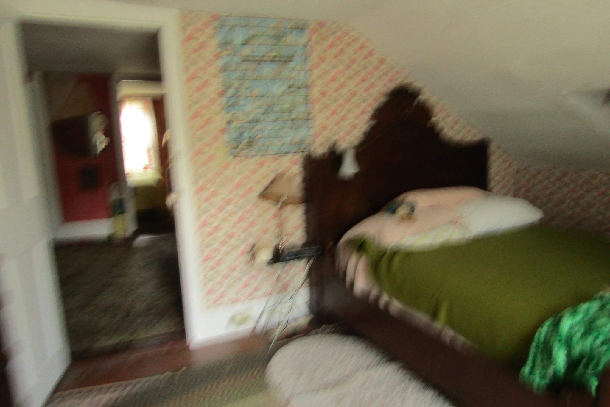 351 Coventry Road Benton, NH 03785 - Photo 33 of 41