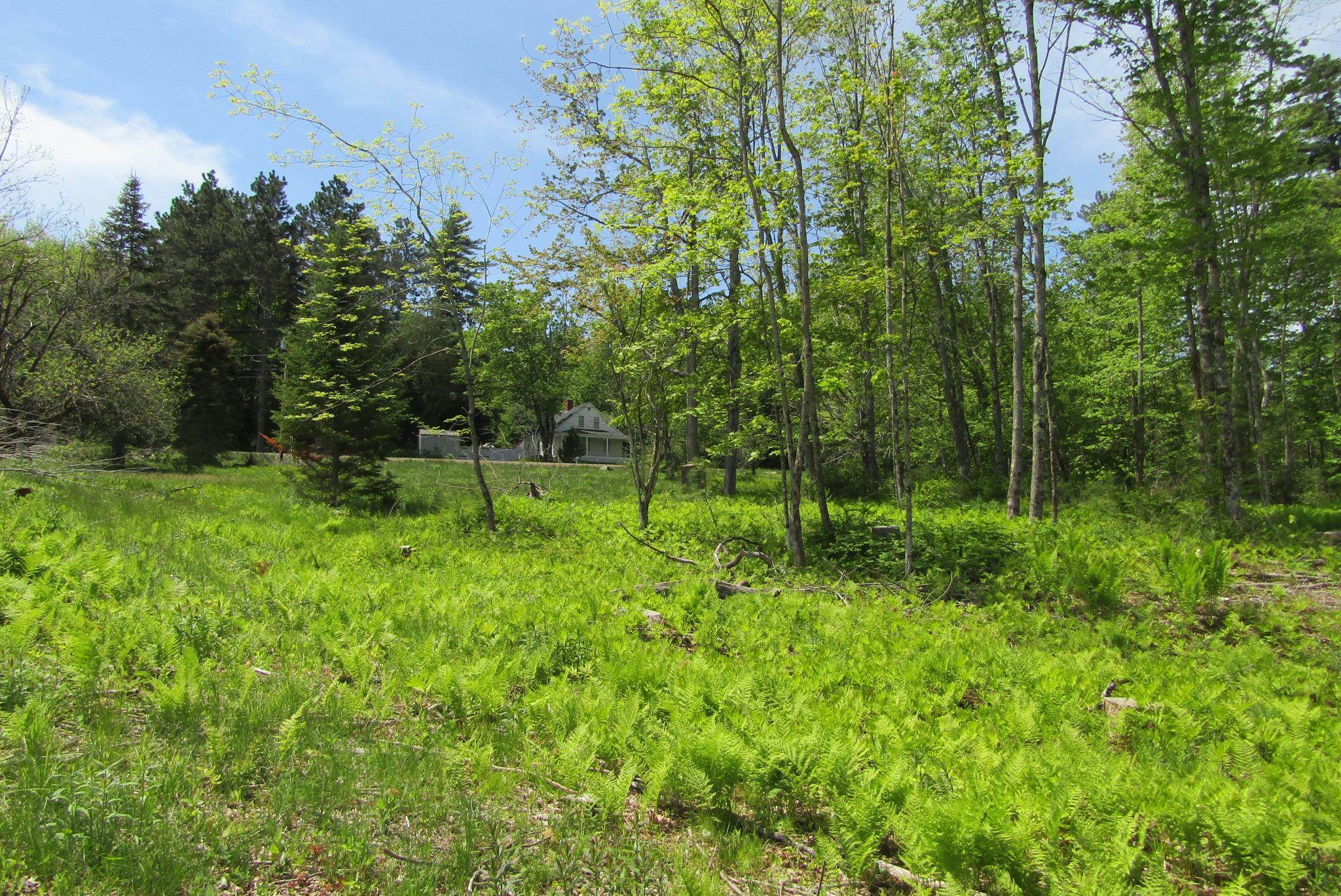 351 Coventry Road Benton, NH 03785 - Photo 41 of 41