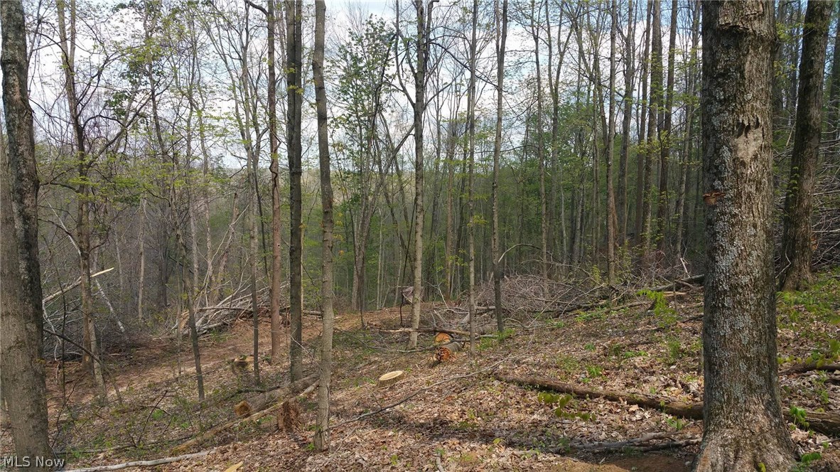 Thompson Ridge Road Athens, OH 45701 - Photo 4 of 10