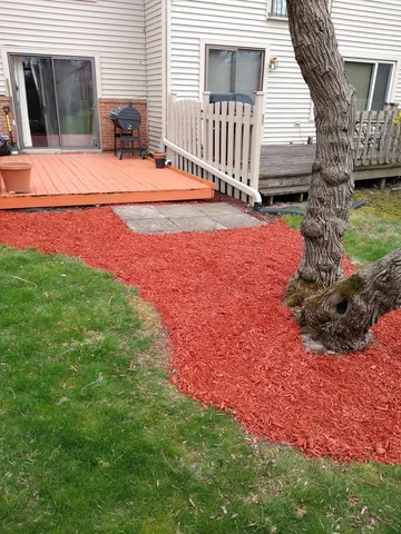a view of a house with backyard and porch