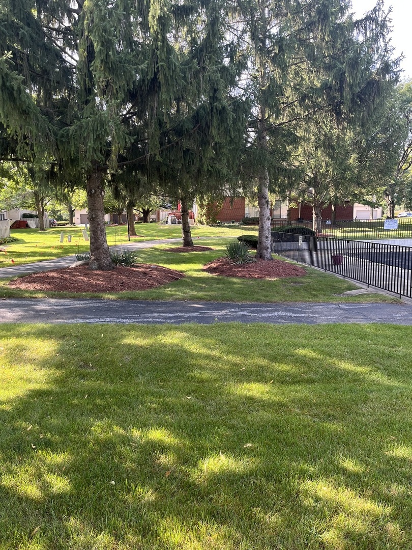 18650 Golfview Drive Hazel Crest, IL 60429 - Photo 8 of 35 a view of swimming pool with outdoor seating and trees