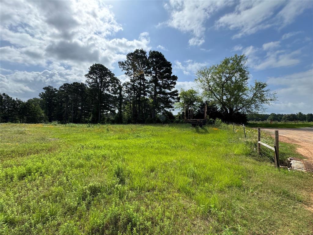 7262 County Road Carthage, TX 75633 - Photo 14 of 39