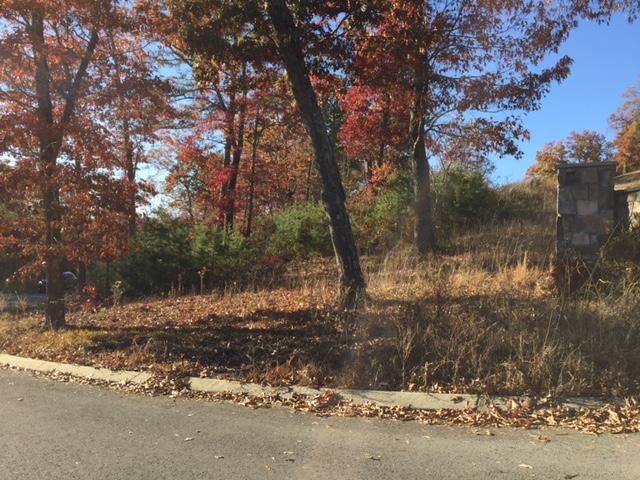 0 Hidden Ridge Loop, Unit LOT 27 Dunlap, TN 37327 - Photo 2 of 4 IMG_1205-2