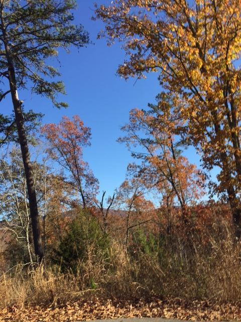 0 Hidden Ridge Loop, Unit LOT 27 Dunlap, TN 37327 - Photo 4 of 4 IMG_1207-2