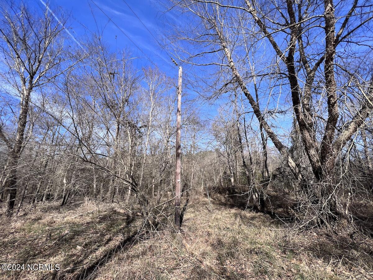 657 Collins Mill Road Castalia, NC 27816 - Photo 128 of 148 IMG_5106