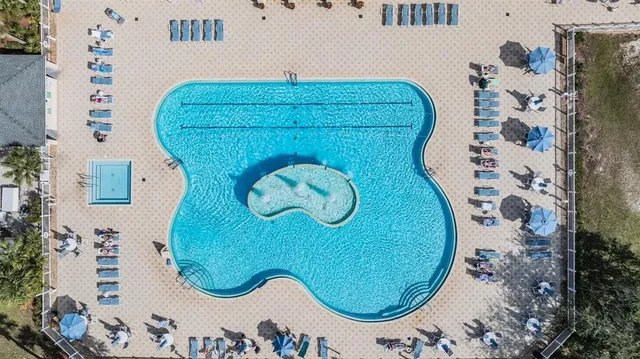 a view of a backyard with plants and a large tree