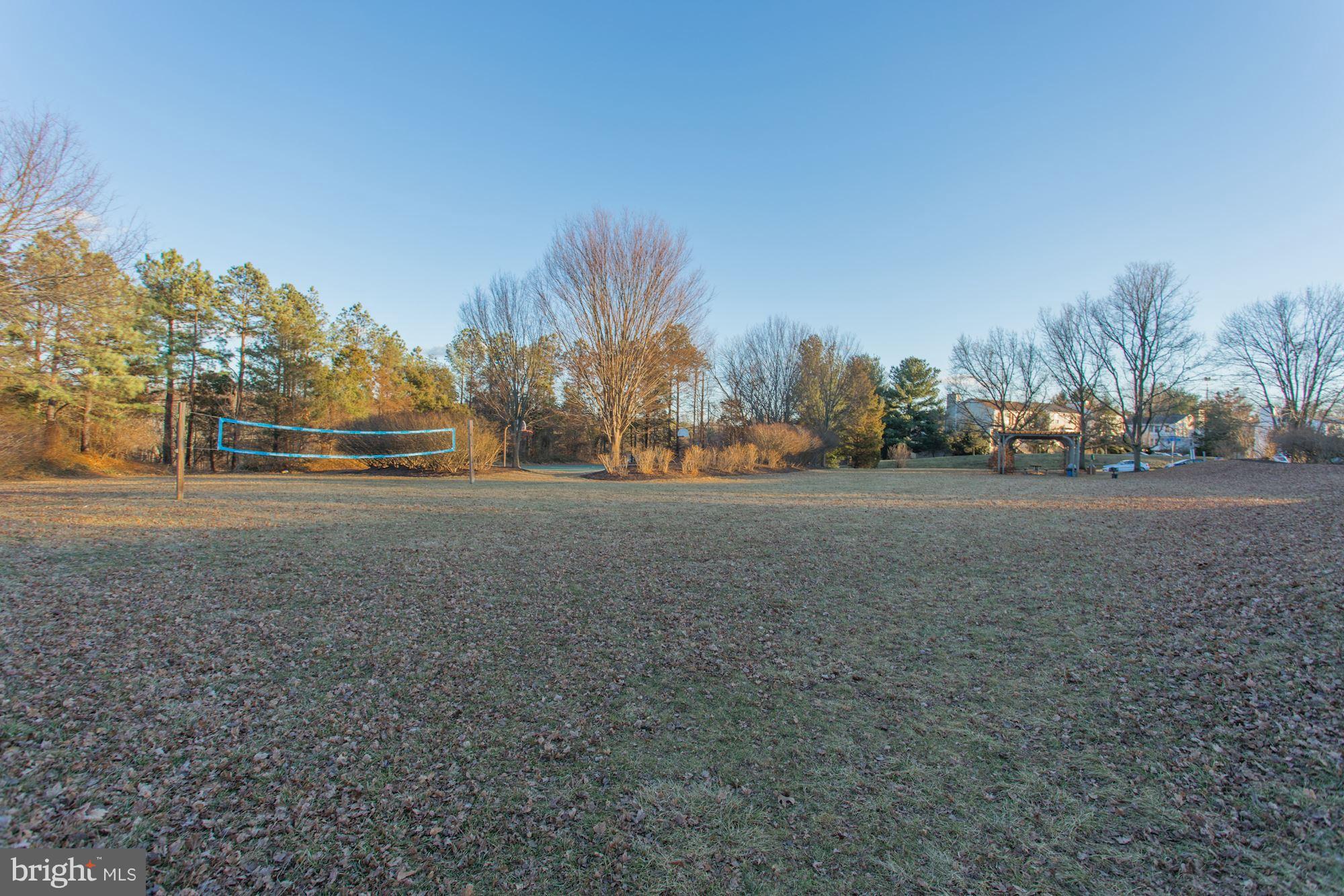 1644 Purple Sage Drive Reston, VA 20194 - Photo 28 of 30 Green space directly across from home