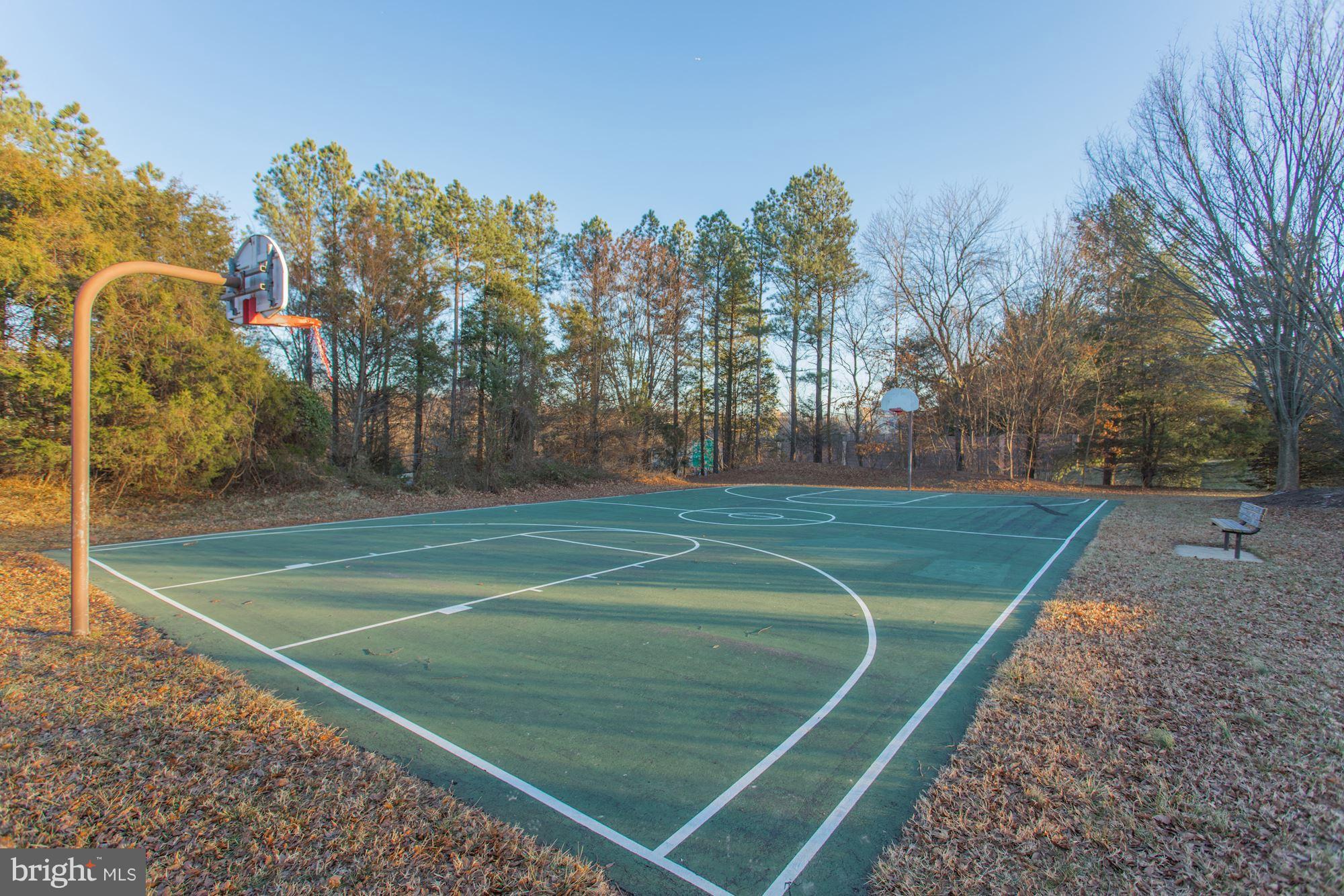1644 Purple Sage Drive Reston, VA 20194 - Photo 29 of 30 Green space directly across from home
