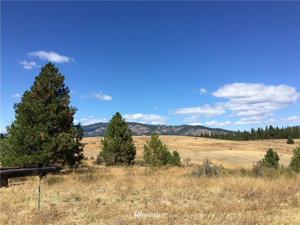 2981 Hidden Valley Road Cle Elum, WA 98922 - Photo 1 of 11 Gallery Image 1