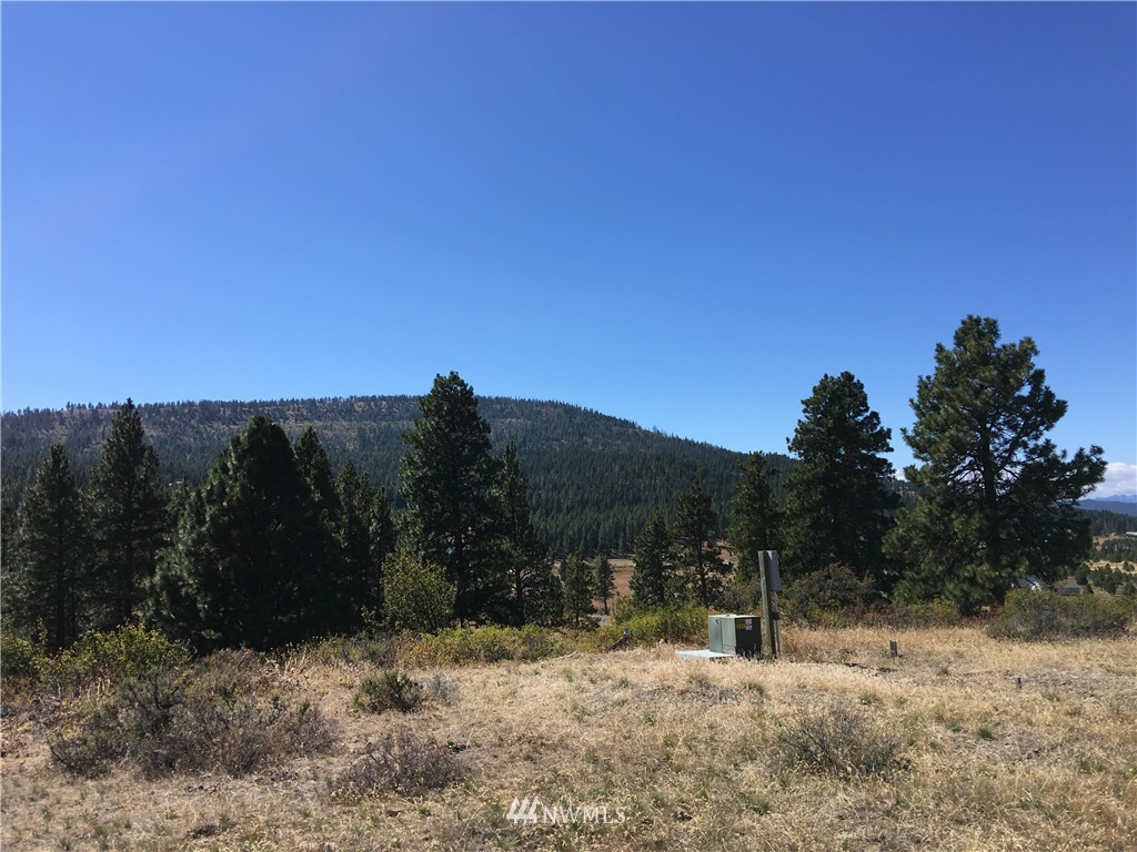 2981 Hidden Valley Road Cle Elum, WA 98922 - Photo 2 of 11 Gallery Image 2