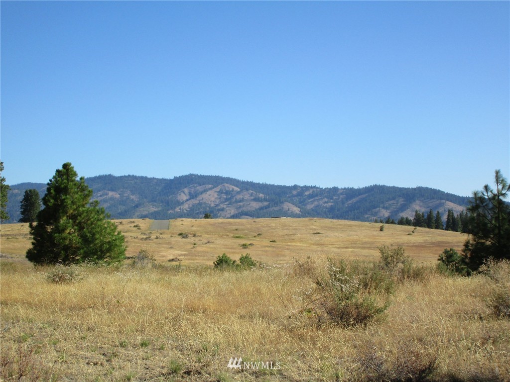 2981 Hidden Valley Road Cle Elum, WA 98922 - Photo 4 of 11 Gallery Image 4