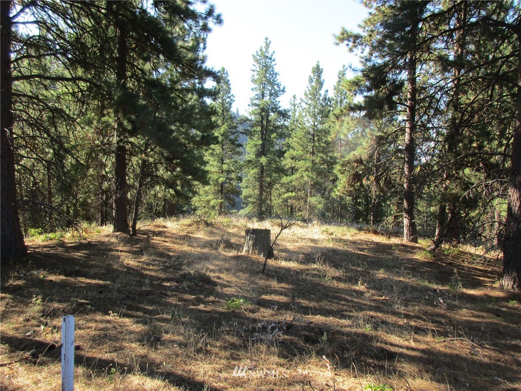 2981 Hidden Valley Road Cle Elum, WA 98922 - Photo 6 of 11 Gallery Image 6