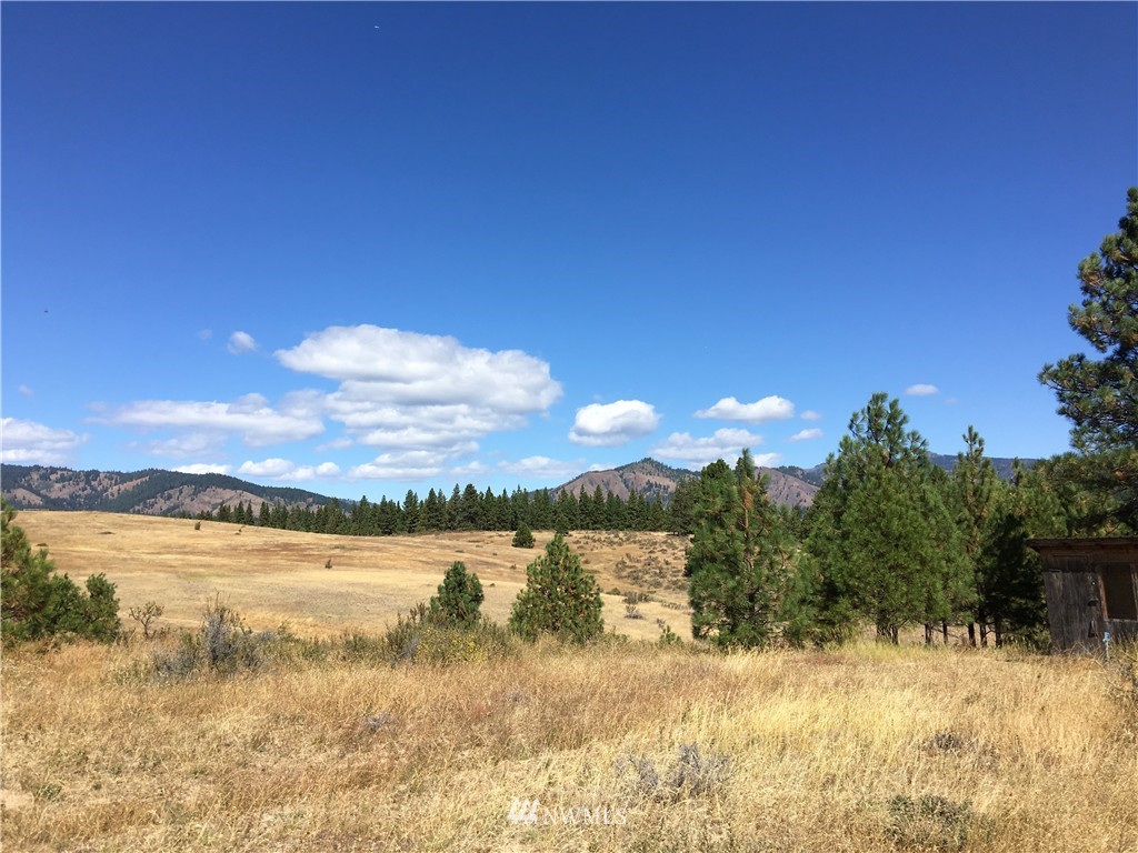 2981 Hidden Valley Road Cle Elum, WA 98922 - Photo 7 of 11 Gallery Image 7