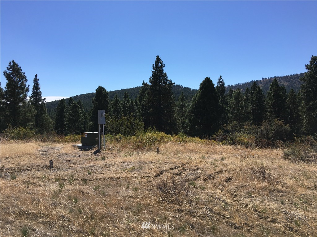 2981 Hidden Valley Road Cle Elum, WA 98922 - Photo 8 of 11 Gallery Image 8