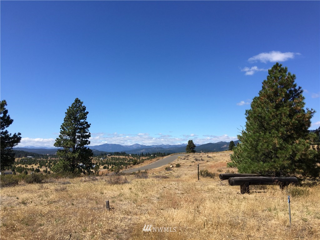 2981 Hidden Valley Road Cle Elum, WA 98922 - Photo 9 of 11 Gallery Image 9