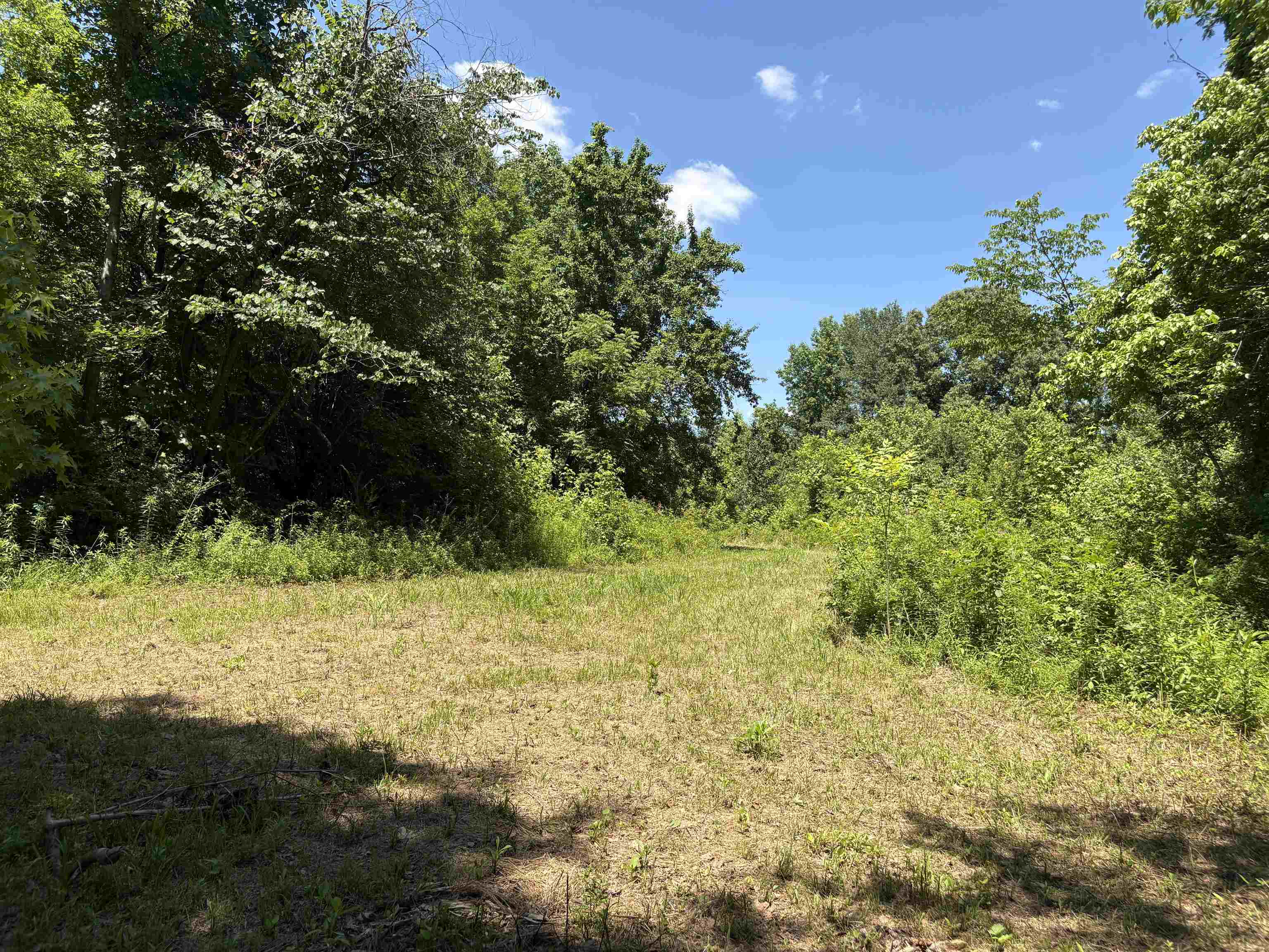 0 Walsh Road, Unit LOT 2 Millington, TN 38053 - Photo 9 of 9