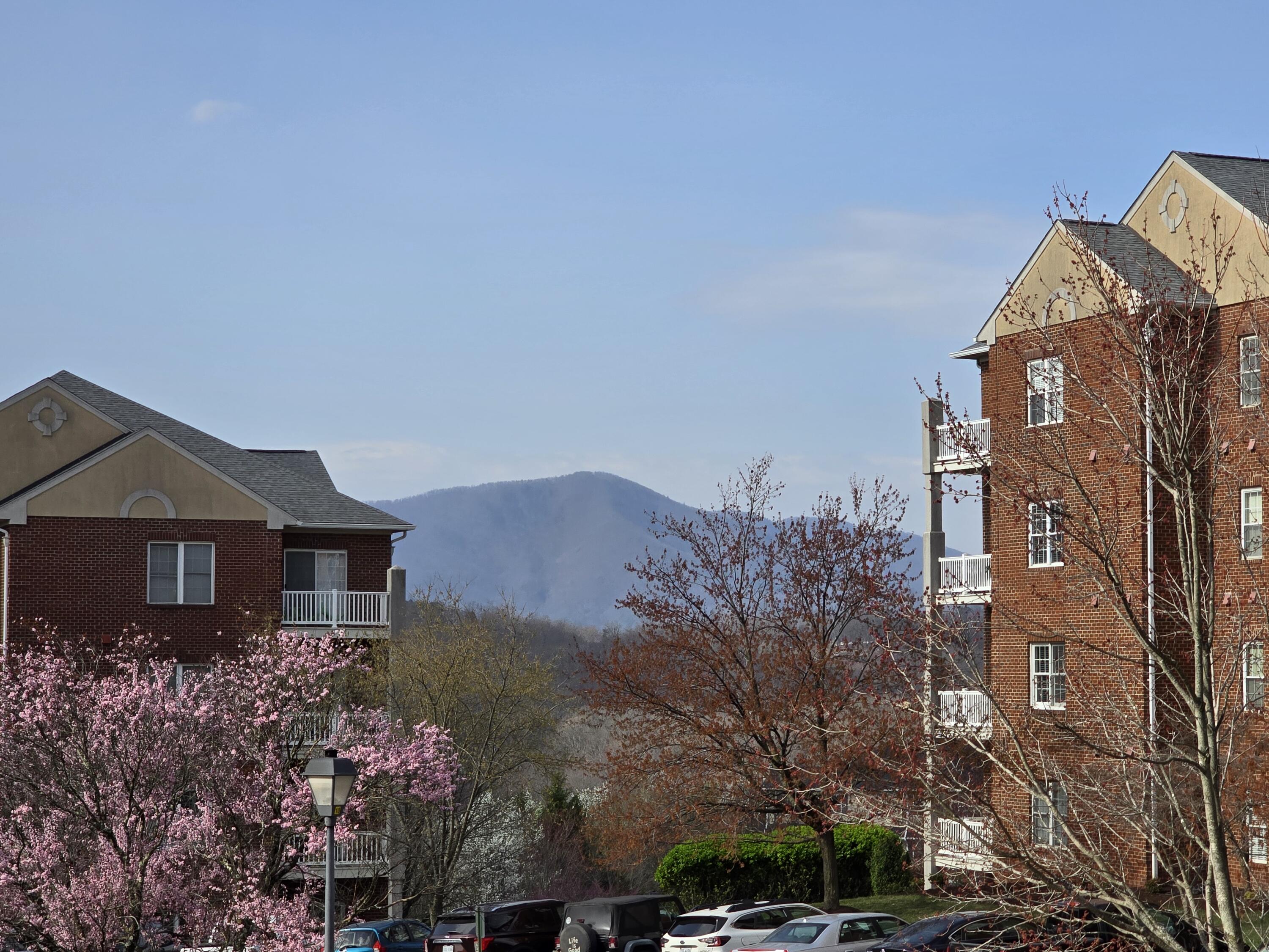 4444 Pheasant Ridge Road, Unit 201 Roanoke, VA 24014 - Photo 18 of 51 20250320_103518