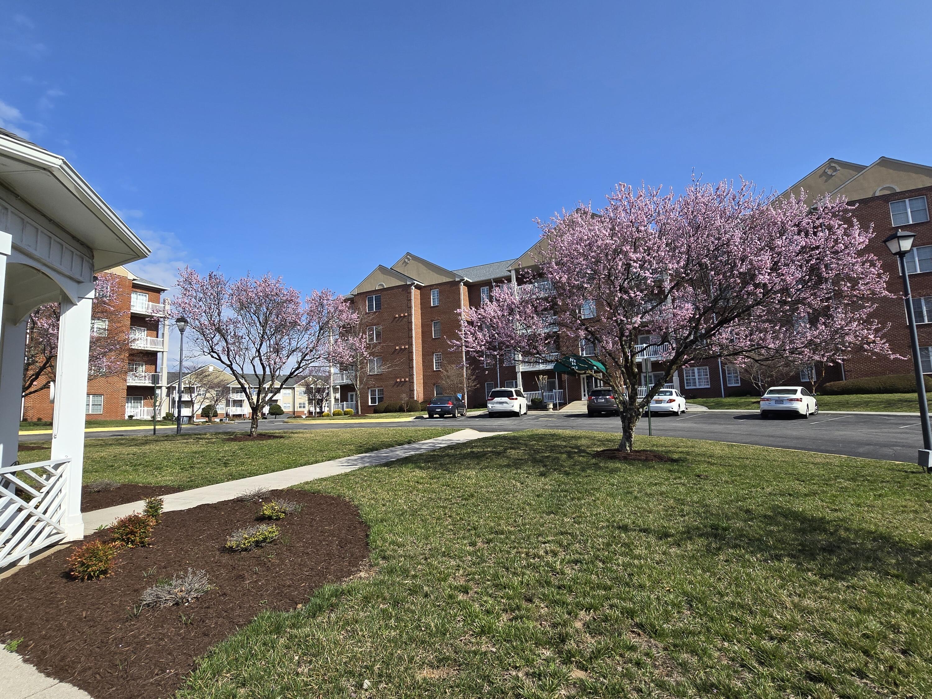 4444 Pheasant Ridge Road, Unit 201 Roanoke, VA 24014 - Photo 45 of 51 20250320_105123