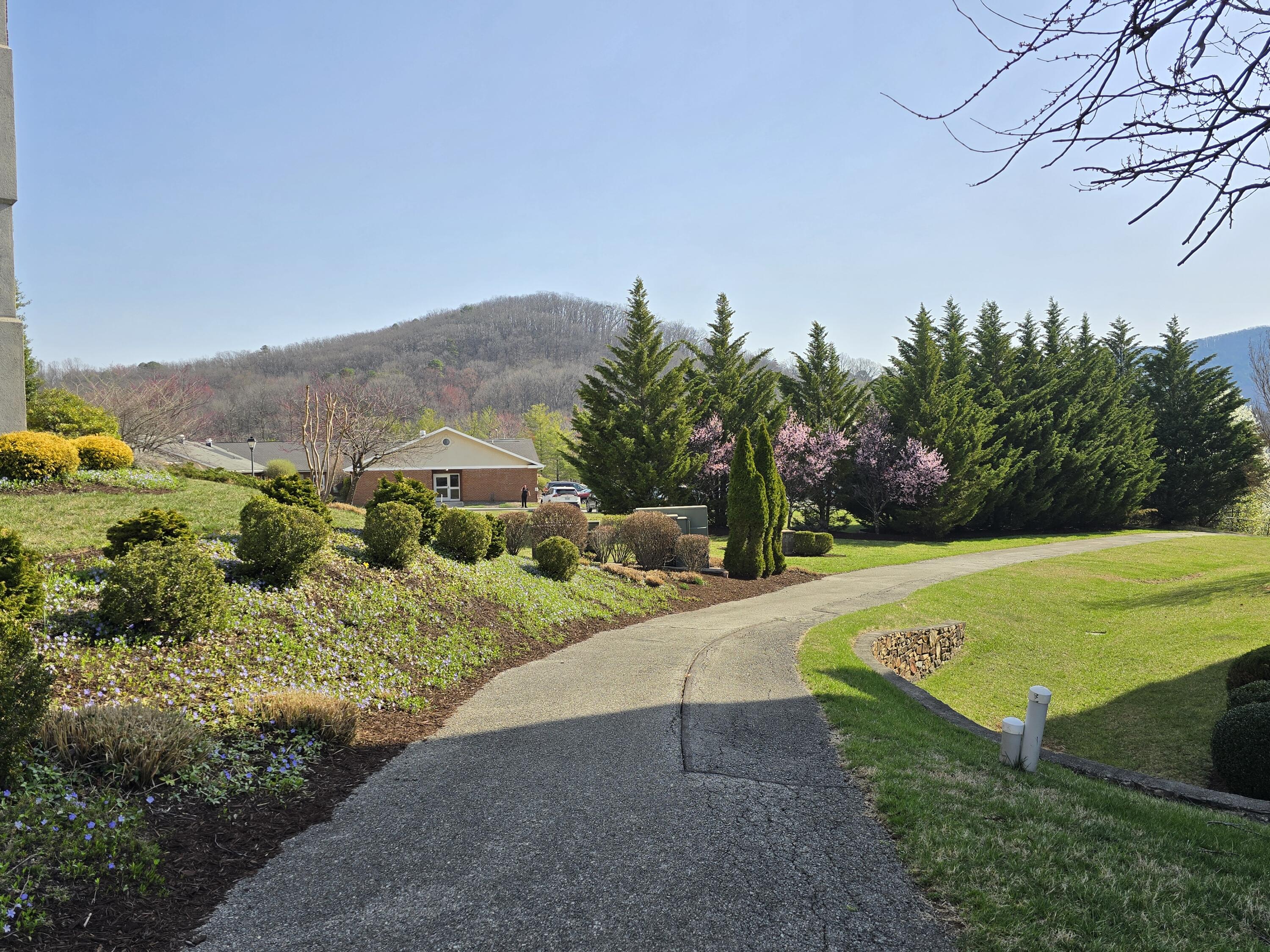 4444 Pheasant Ridge Road, Unit 201 Roanoke, VA 24014 - Photo 47 of 51 20250320_105232