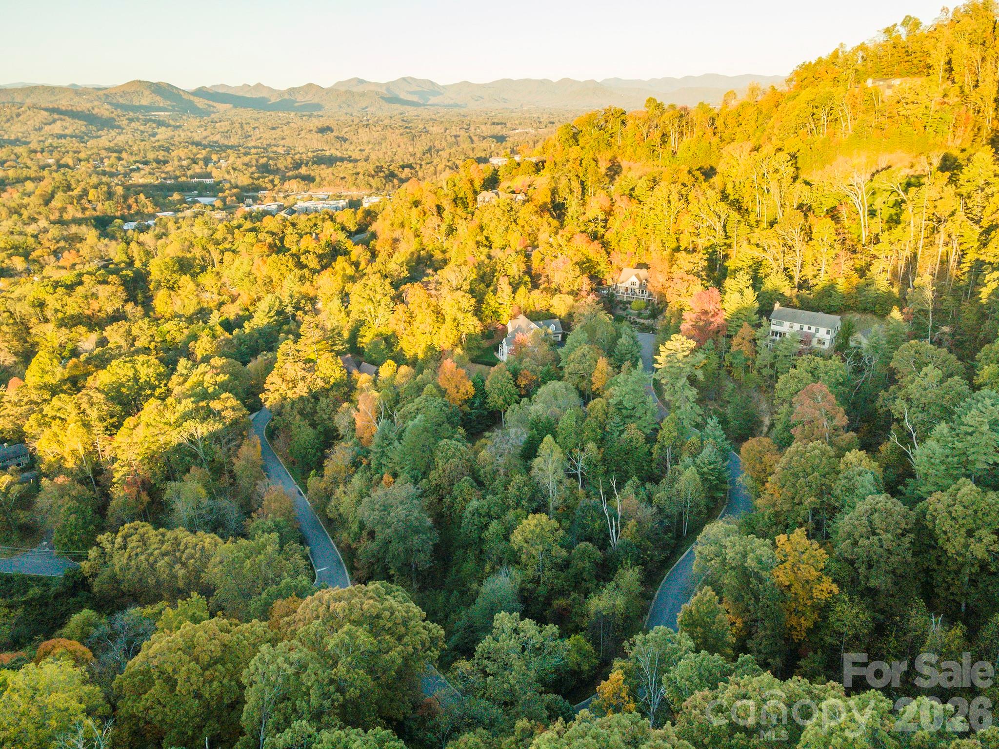 510 Sweetspire Ridge Asheville, NC 28804 - Photo 11 of 24 an aerial view of residential houses with outdoor space and trees