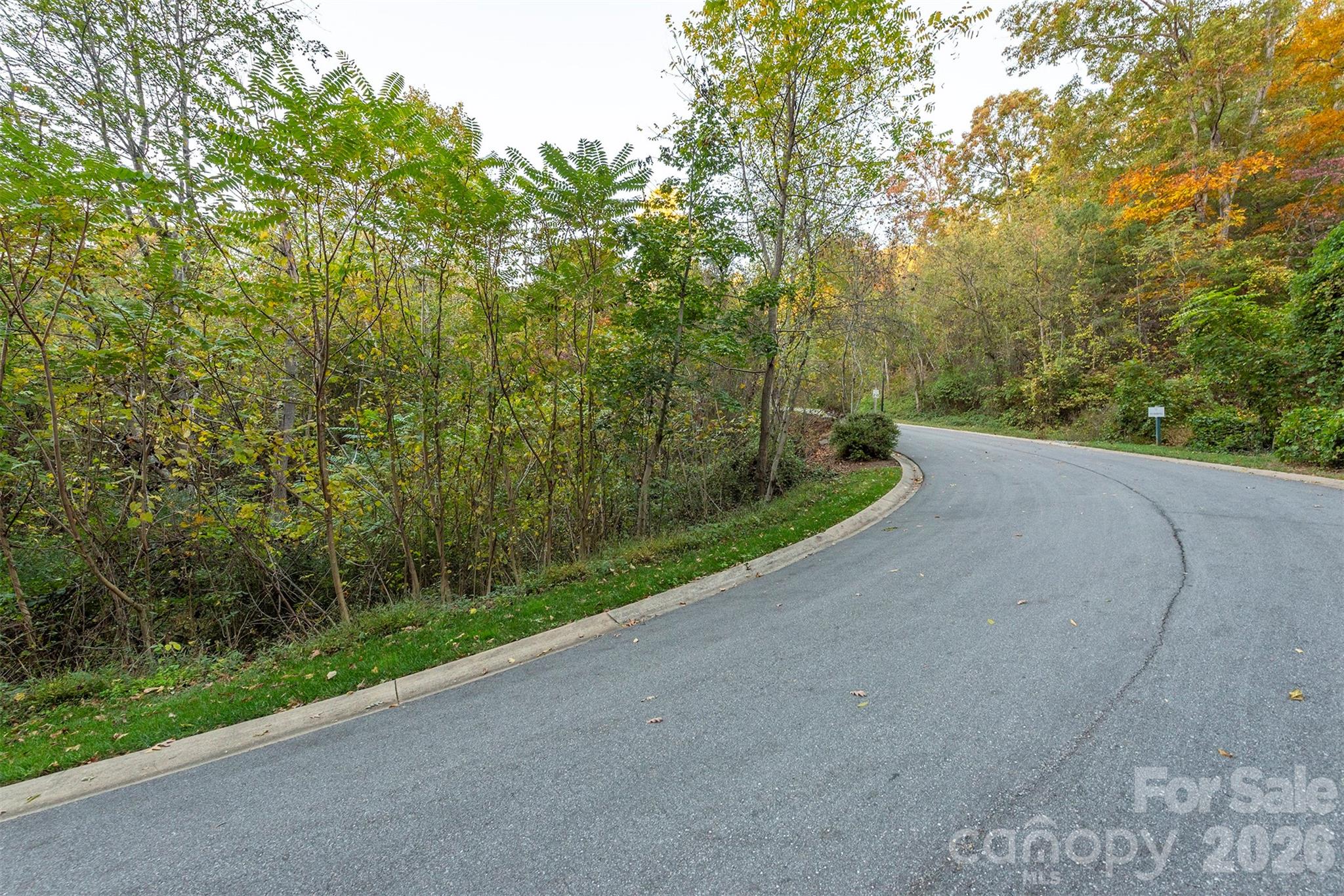510 Sweetspire Ridge Asheville, NC 28804 - Photo 13 of 24 a view of a road with a yard