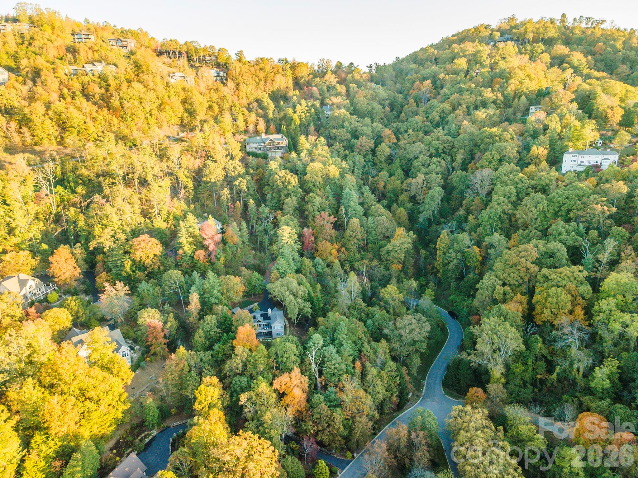 510 Sweetspire Ridge Asheville, NC 28804 - Photo 15 of 24 a view of a large yard