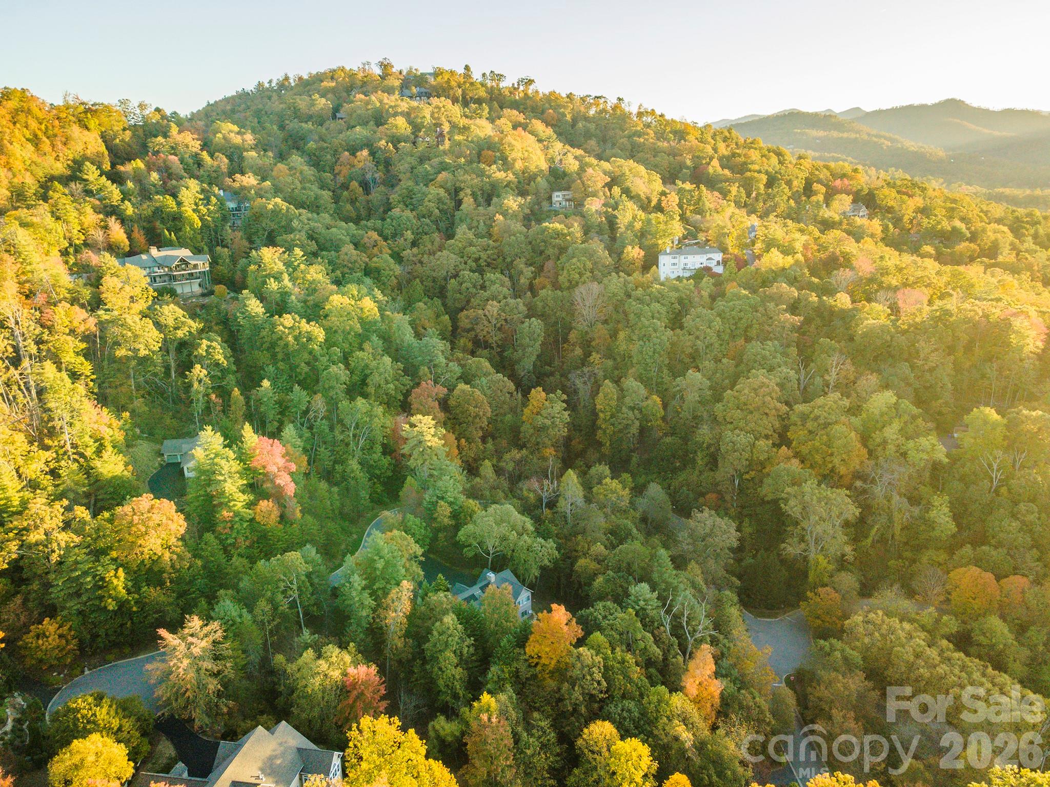 510 Sweetspire Ridge Asheville, NC 28804 - Photo 16 of 24 a view of a mountain