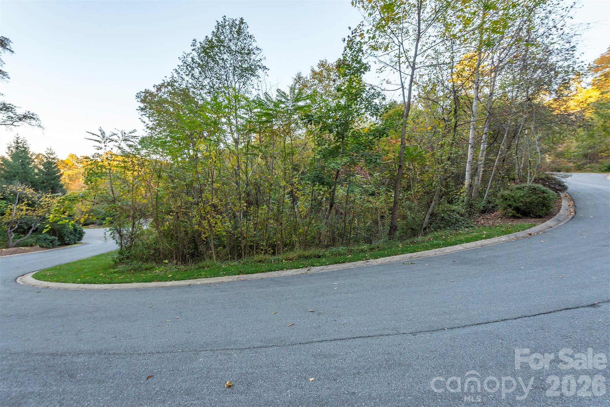 510 Sweetspire Ridge Asheville, NC 28804 - Photo 17 of 24 a view of a park