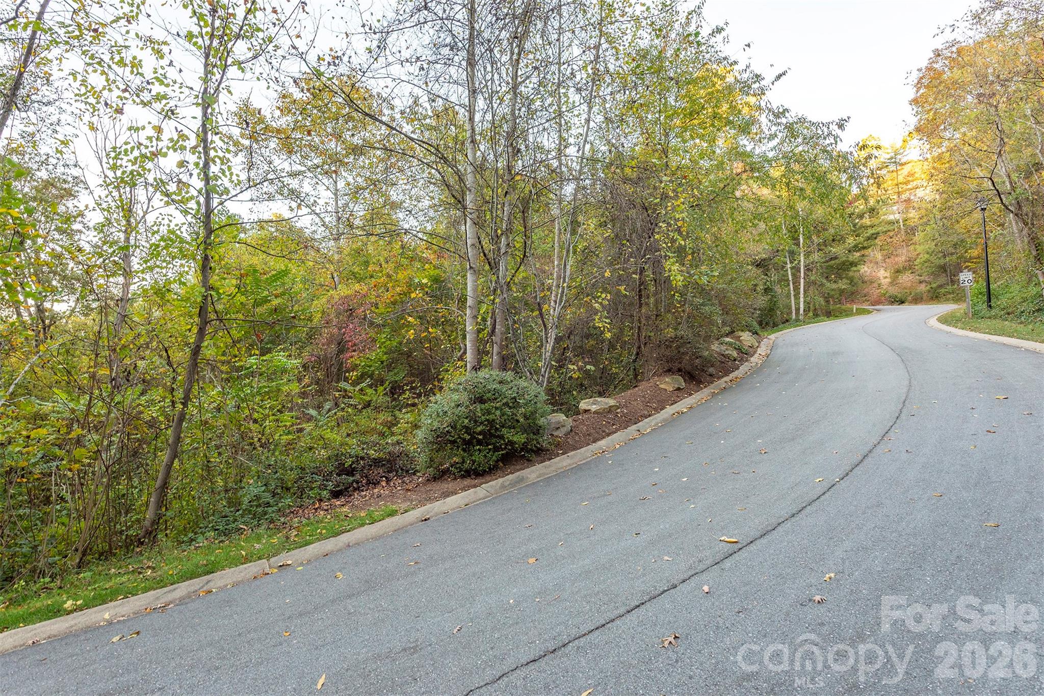510 Sweetspire Ridge Asheville, NC 28804 - Photo 18 of 24 a view of a outdoor space