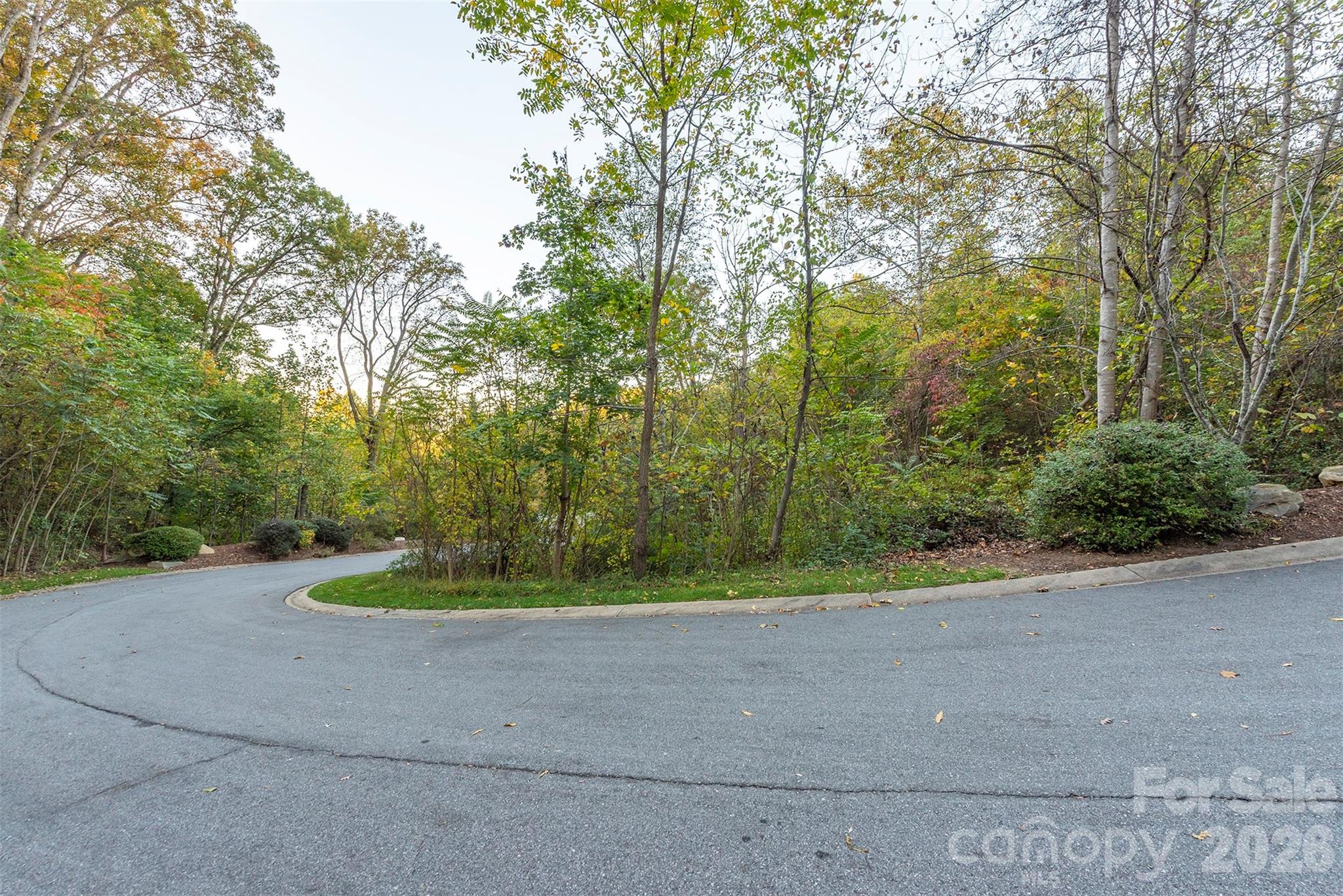 510 Sweetspire Ridge Asheville, NC 28804 - Photo 19 of 24 a view of a backyard