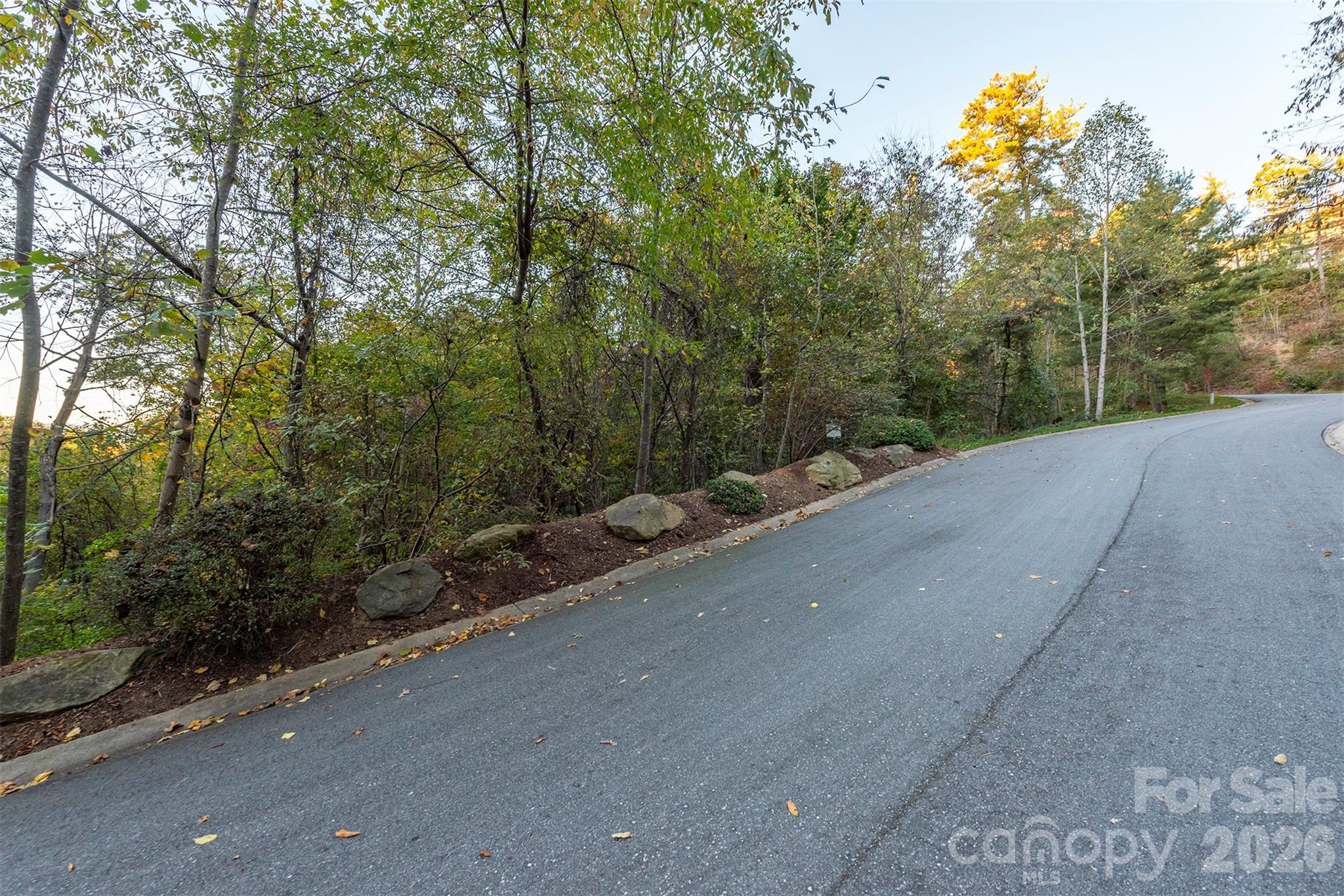 510 Sweetspire Ridge Asheville, NC 28804 - Photo 20 of 24 a view of a road with trees in the background