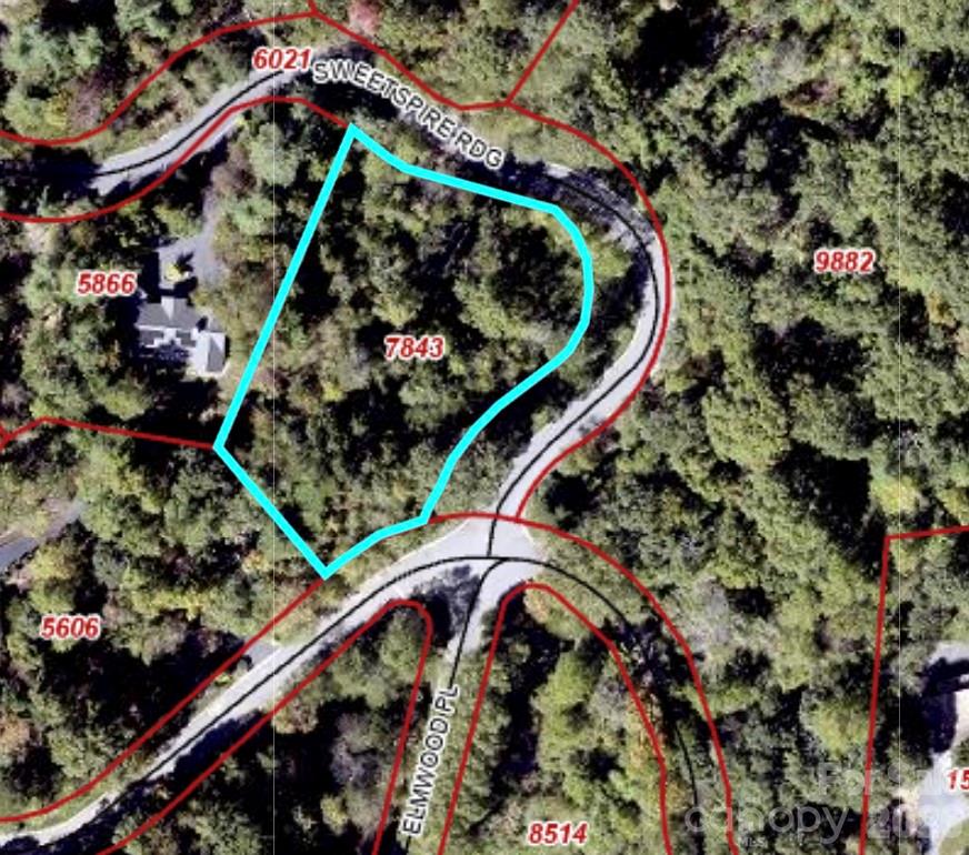 510 Sweetspire Ridge Asheville, NC 28804 - Photo 4 of 24