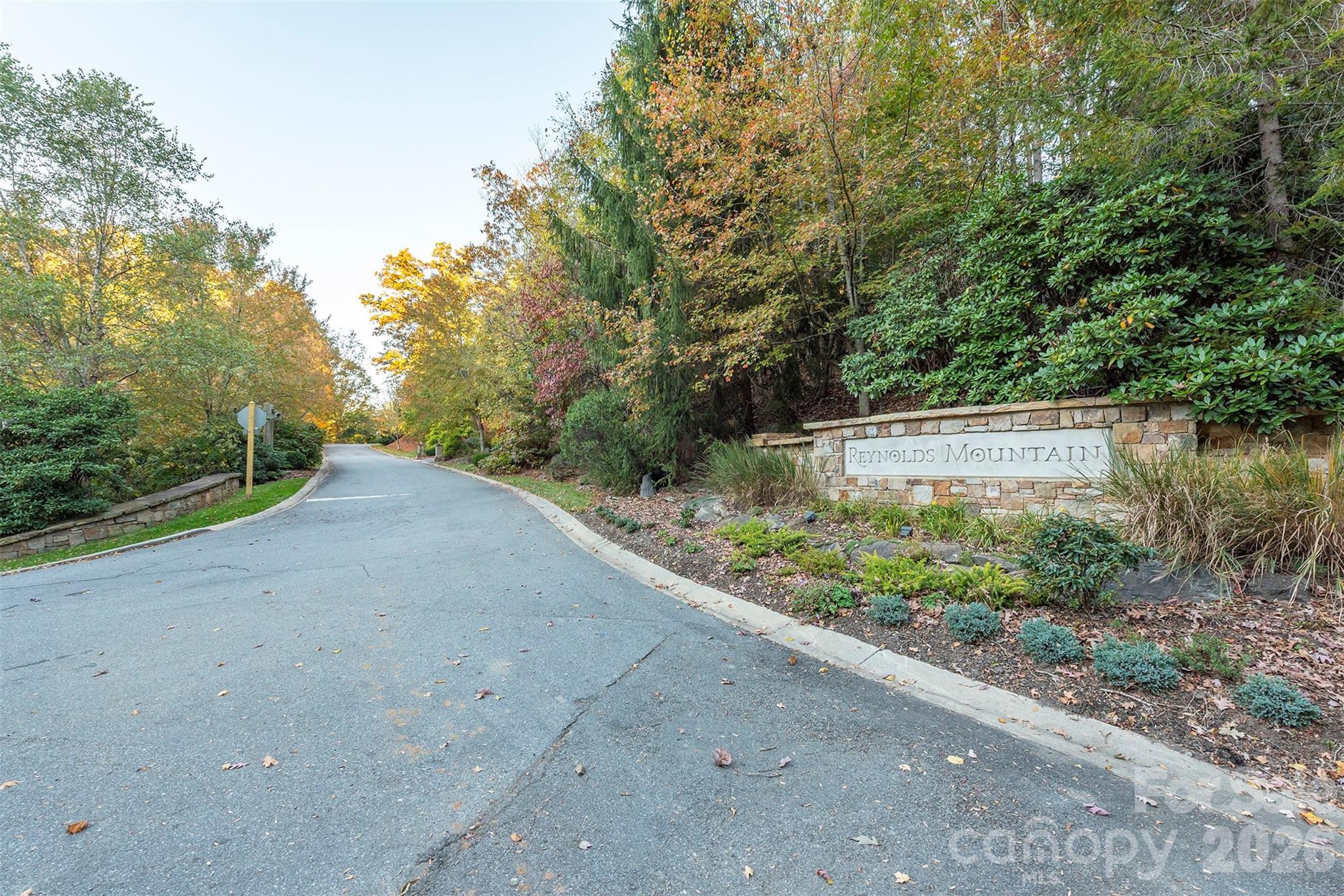 510 Sweetspire Ridge Asheville, NC 28804 - Photo 6 of 24 a view of a garden with a bench and trees