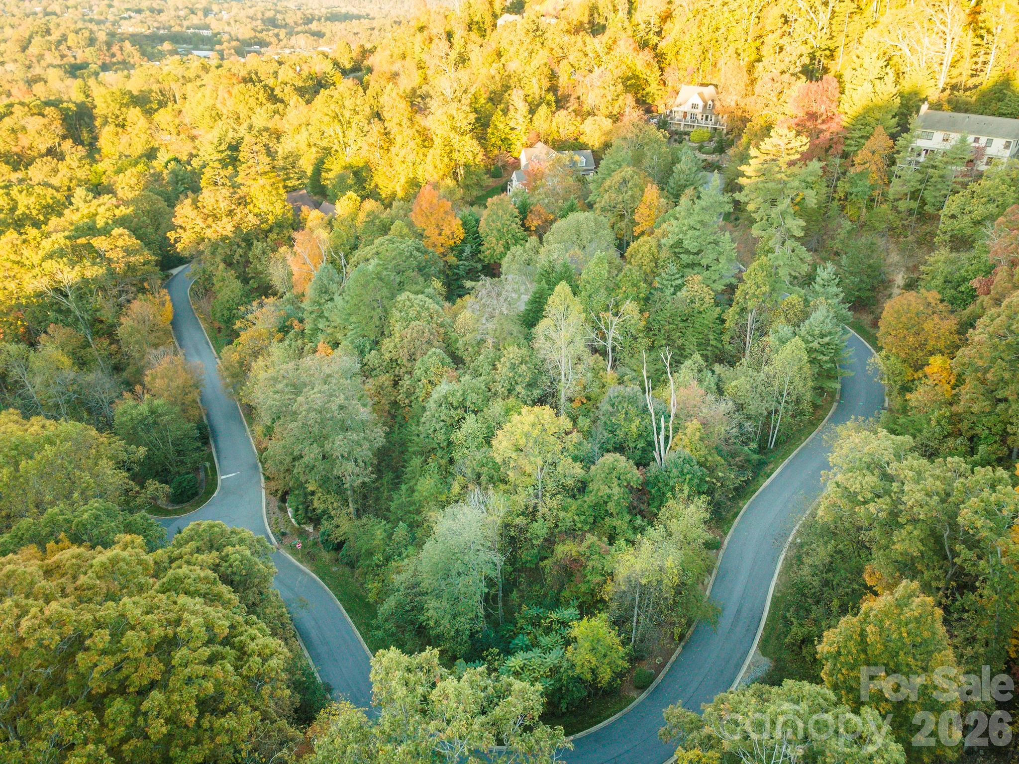 510 Sweetspire Ridge Asheville, NC 28804 - Photo 7 of 24
